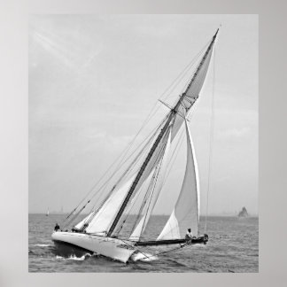Yacht 'Shamrock' in New York Harbour 1895 BW Poster