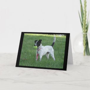 Yahtzee The Dog with Ball Greeting Card