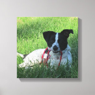 Yahtzee The Dog with Leash Canvas Print