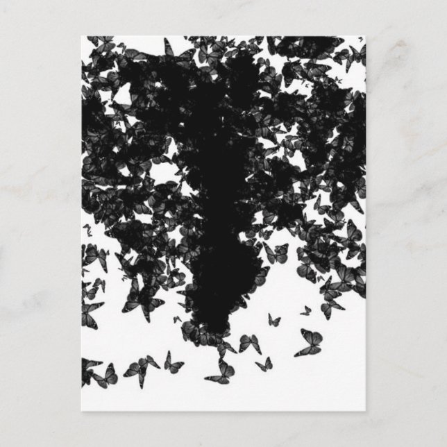 yaie black swallowtail butterfly postcard (Front)