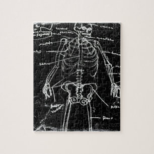 yaie tokyo human skeleton anatomy jigsaw puzzle