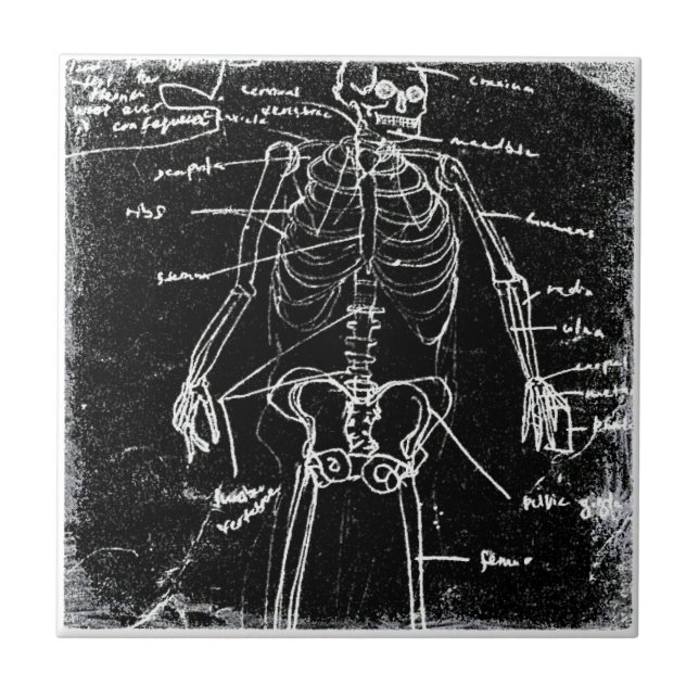 yaie tokyo human skeleton anatomy tile (Front)