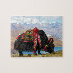 Yak Bos grunniens Bos mutus at Yamdrok Lake Jigsaw Puzzle