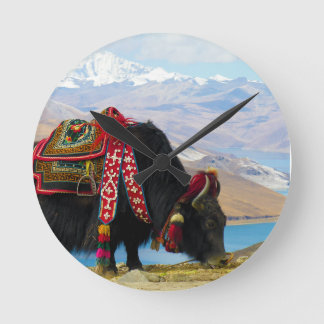 Yak Bos grunniens Bos mutus at Yamdrok Lake Round Clock