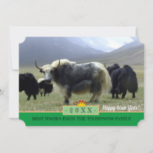 Yaks & Happy New Year! Card /Himalayas, Tibet