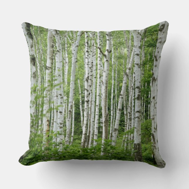 Yakumo-mura, Nagano Prefecture, Central Honshu Cushion (Front)
