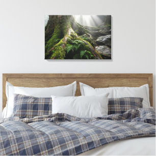 Yakushima Moss Forest 'Breath of Life'   Biophilic Canvas Print