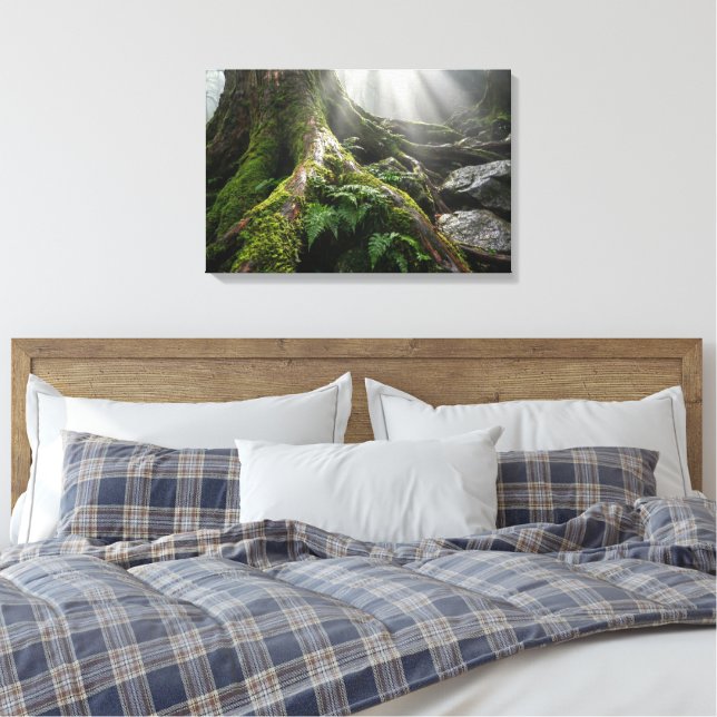 Yakushima Moss Forest 'Breath of Life' | Biophilic Canvas Print (Insitu(Bedroom))