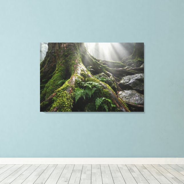 Yakushima Moss Forest 'Breath of Life' | Biophilic Canvas Print (Insitu(Wood Floor))