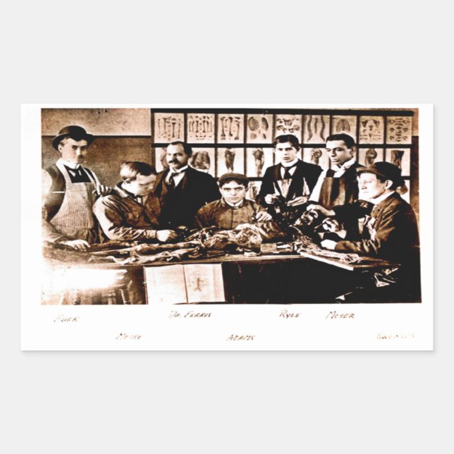 Yale Medical Anatomy Class Sticker (Front)