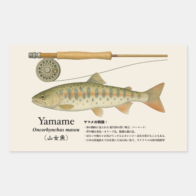 Yamame (Oncorhynchus masou) – Fish Illust Rectangular Sticker (Front)