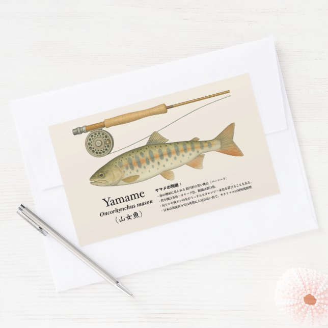 Yamame (Oncorhynchus masou) – Japanese illust Rectangular Sticker (Envelope)