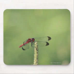 Yamanashi Prefecture, Honshu, Japan Mouse Mat