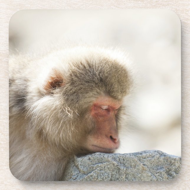 Yamanouchi, Chubu, Nagano Prefecture, Japan Coaster (Front)