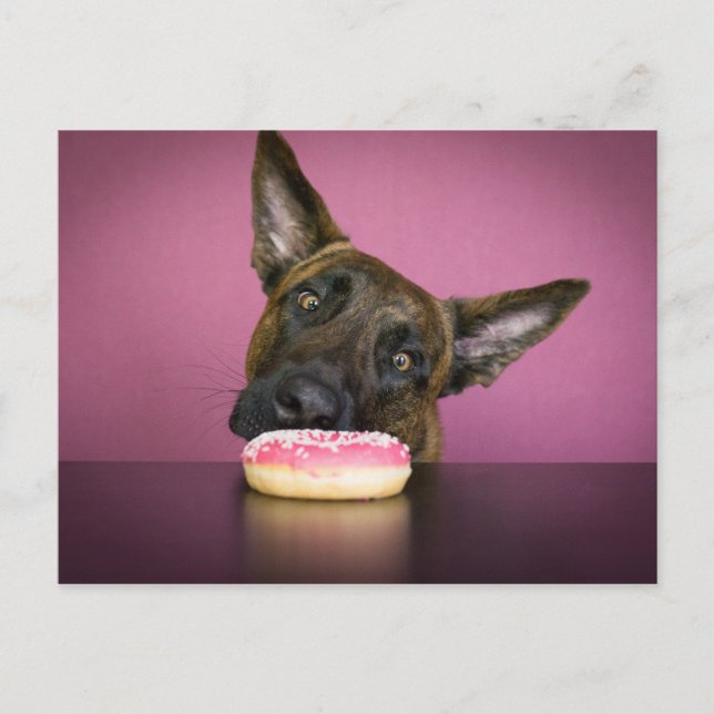 Yamm Yamm Postcard (Front)