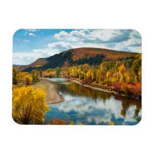 Yampa River In Autumn Magnet