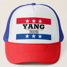 YANG 2020 Election