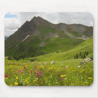 Yankee Boy Basin, Colorado Mouse Mat
