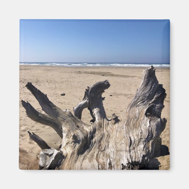 Yaquina Bay State Recreation Site, Newport, Oregon Magnet (Front)