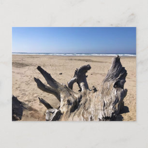 Yaquina Bay State Recreation Site, Newport, Oregon Postcard