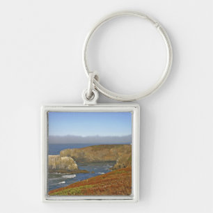 Yaquina Head Lighthouse at Newport Oregon Key Ring