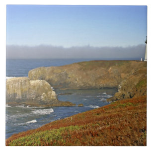 Yaquina Head Lighthouse at Newport Oregon Tile