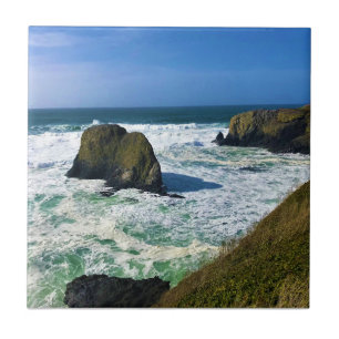 Yaquina Head Outstanding Natural Area, Oregon Tile