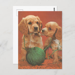 Yarn and Affection, Cocker Spaniels at Play Postcard