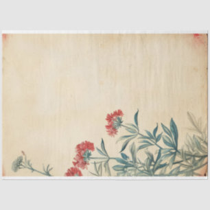 Yarrow flower illustration ephemera tissue paper