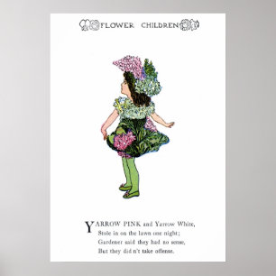 Yarrow - Pink and White Poster