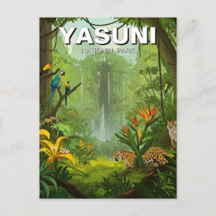 Yasuni National Park Ecuador Postcard