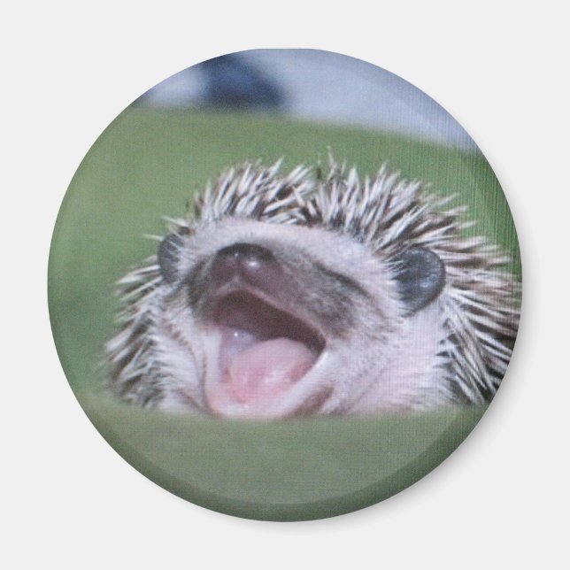 yawner magnet (Front)