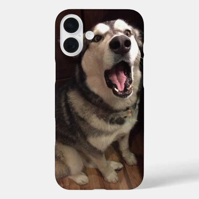 Yawning Alaskan Malamute Photograph Case-Mate iPhone Case (Back)