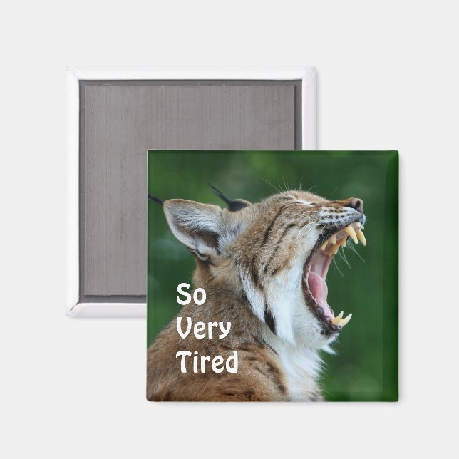 Yawning Bobcat Magnet (Front/Back)