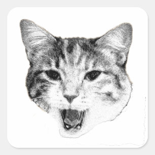 Yawning Cat – Maximum Drama Square Sticker