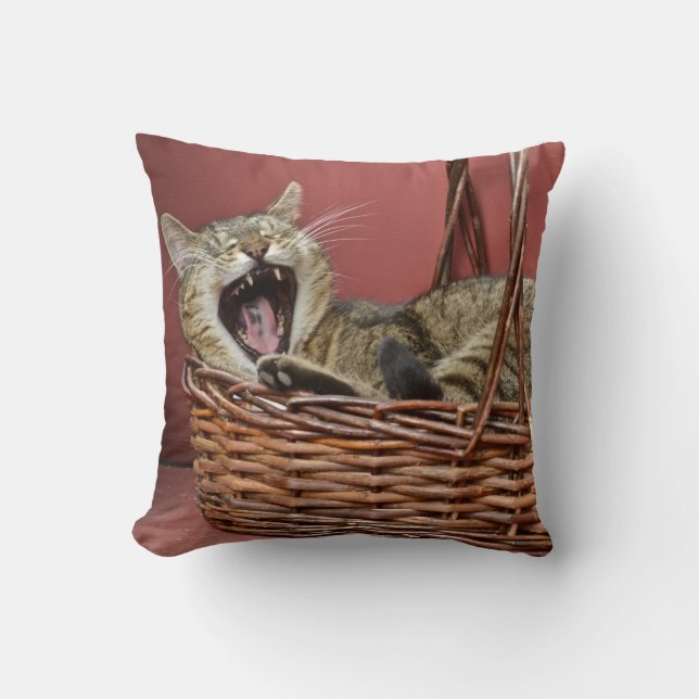 Yawning Cat Pillow (Front)