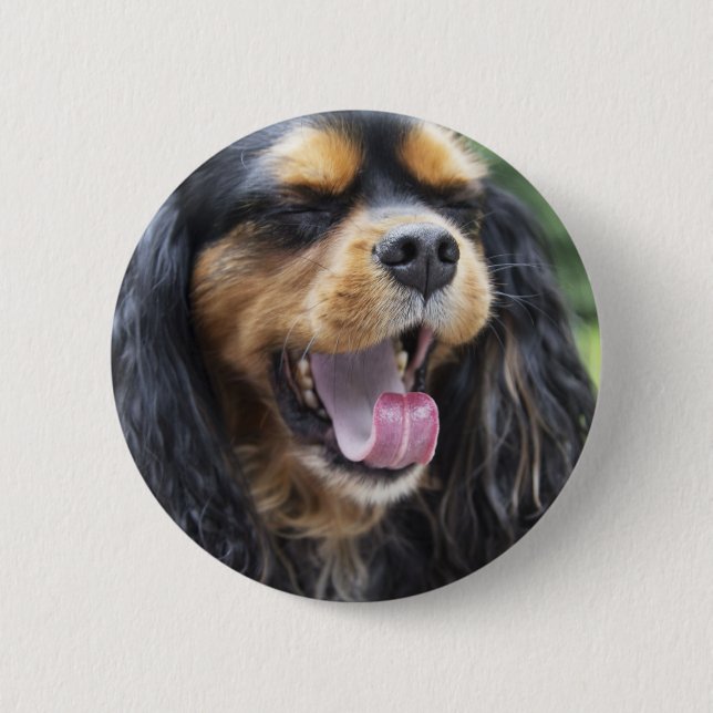 Yawning Cavalier King Charles Spaniel 6 Cm Round Badge (Front)