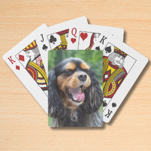 Yawning Cavalier King Charles Spaniel Playing Cards