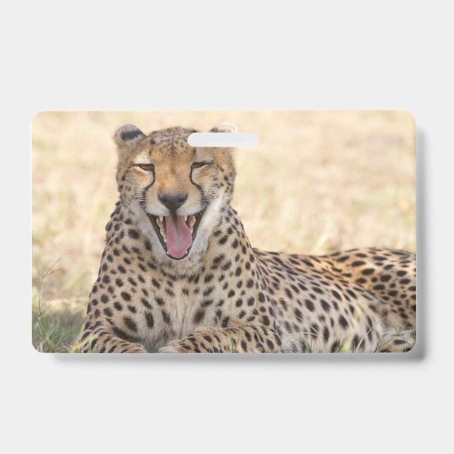 Yawning Cheetah ID Badge (Front)