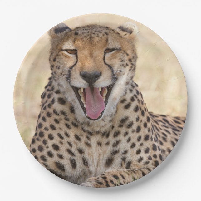 Yawning Cheetah Paper Plate (Front)