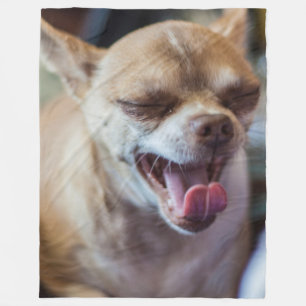 Yawning Chihuahua Fleece Blanket