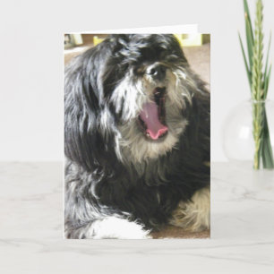 YAWNING CUZ I'M BORED 40th BIRTHDAY Card