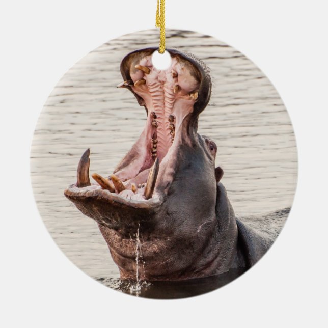 Yawning Hippo Ceramic Tree Decoration (Back)