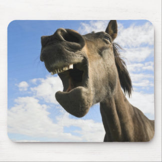 Yawning horse mouse mat