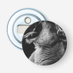 yawning lion bottle opener
