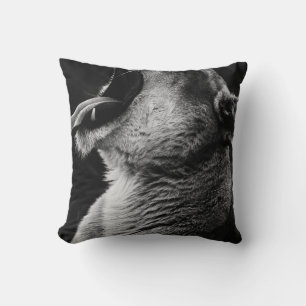 yawning lion cushion