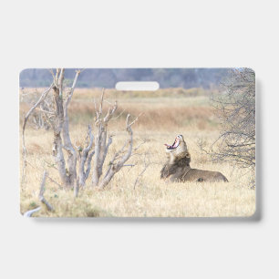 Yawning lion ID badge