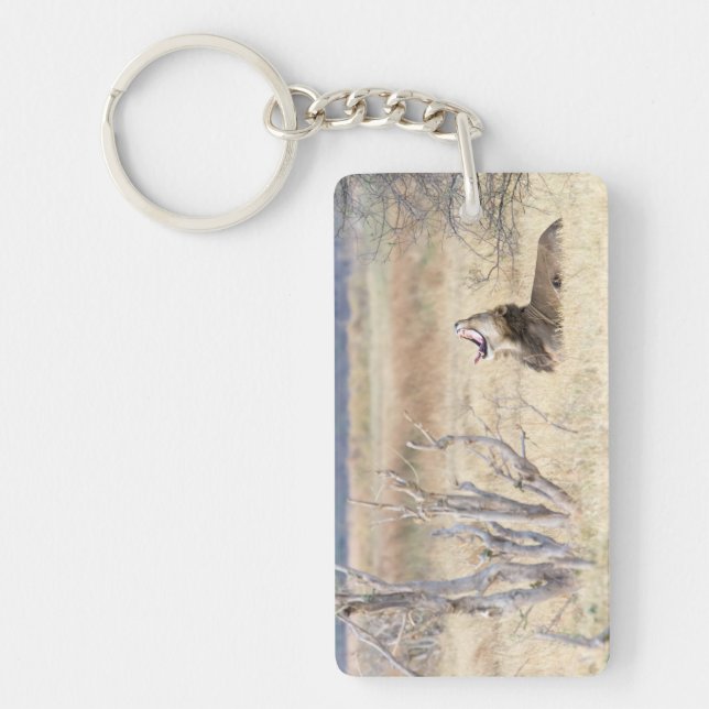 Yawning lion key ring (Front)
