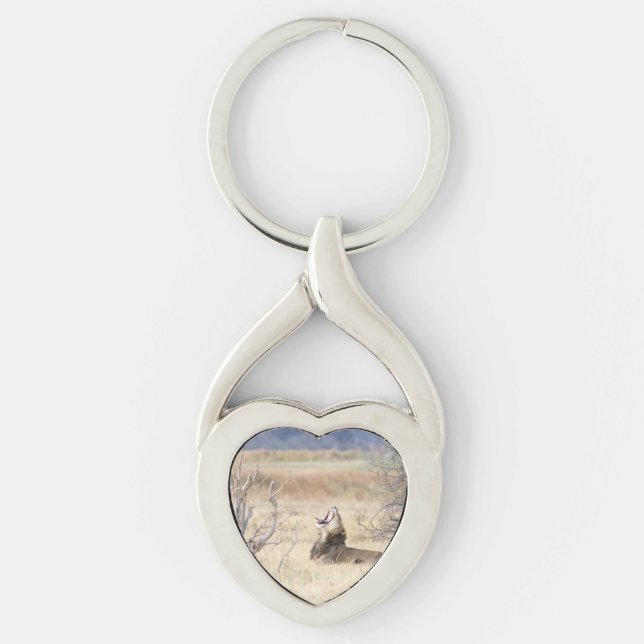 Yawning lion key ring (Front)