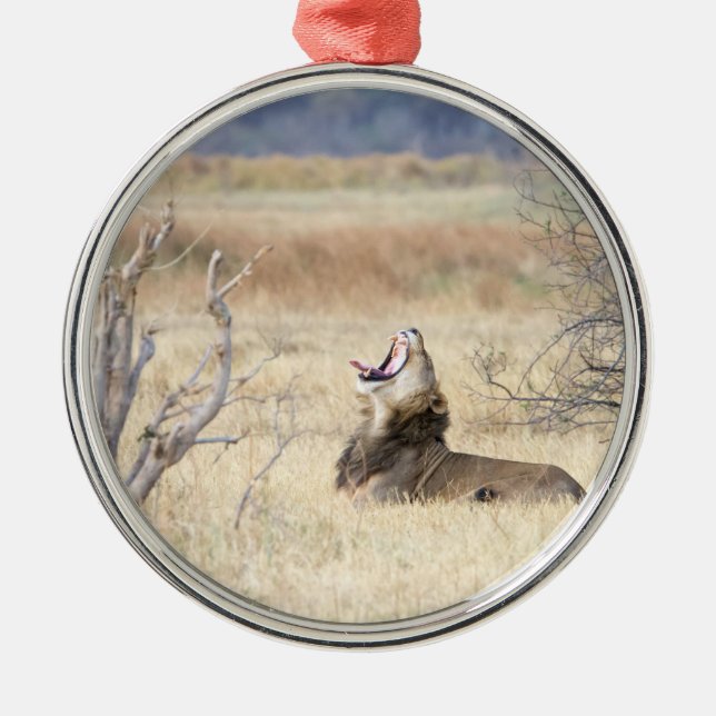 Yawning lion metal tree decoration (Front)